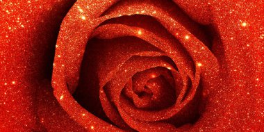 Kırmızı gül yaprakları, kapatın.