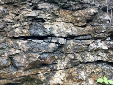 doku, duvar, beton, arka plan olarak kullanılabilir. Bir taşın deseni