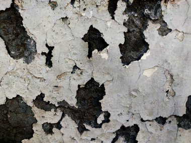 Duvardaki çatlak boya.