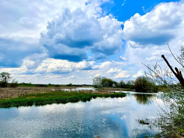 Nehir ve gölü olan güzel bir manzara.