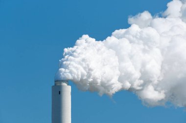Yeşil bir ormanın önünde buharı tüten bir soğutma kulesi olan kömürle çalışan bir elektrik santrali, fosil enerji üretimi..