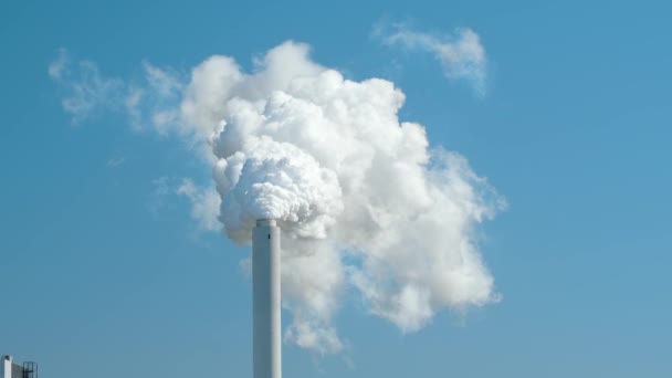 Парові Димові Хмари Піднімаються Вугільної Електростанції Фоні Блакитного Неба Концепція — стокове відео