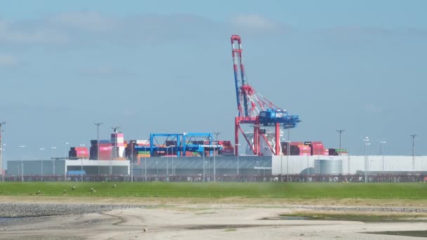 ドイツのジェイド ヴェーザー港のコンテナガントリークレーンと産業ホール 貨物輸送コンセプト — ストック動画