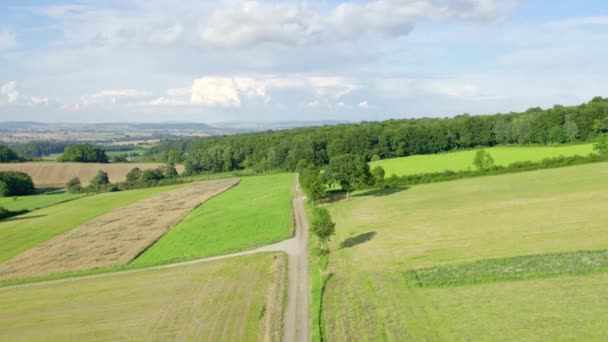 Beautiful Meadows Forest Summer Landscape Push Drone Shot Hay Farming — Stock Video