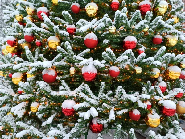Choinka Pokryta Śniegiem Ozdobiona Czerwonymi Złotymi Kulkami Świątecznymi Nowy Rok — Zdjęcie stockowe