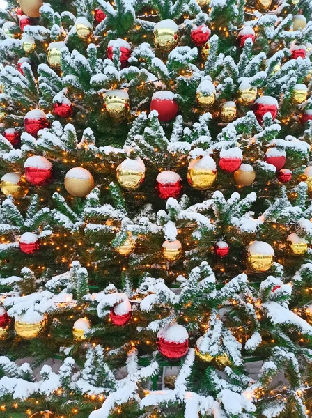 Árvore Natal Coberta Neve Decorada Com Bolas Natal Vermelhas Douradas — Fotografia de Stock