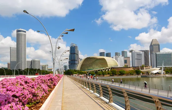 Singapore November 2019 Singapore Cityscape Theatre Concert Hall Esplanade Bay — Stock Photo, Image