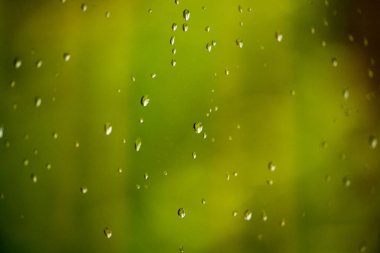 Yağmurlu bir günde penceredeki su damlaları fotoğraflandı. Bu yağmur damlaları sihirli görünüyor..