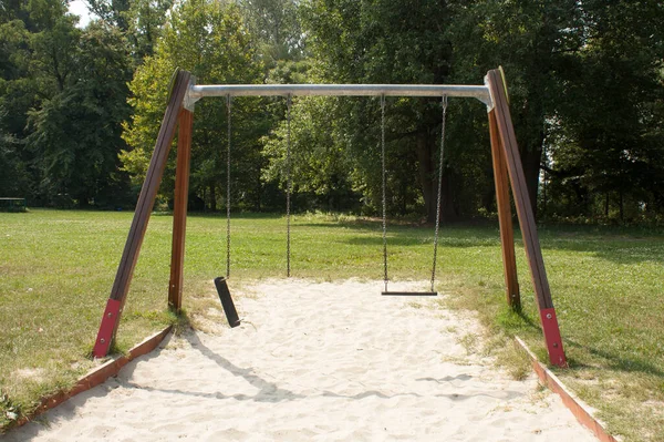 Ein Gänseblümchen Zwischen Den Blättern — Stockfoto