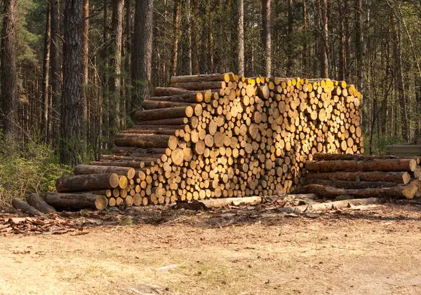 Stack Logs Fireplace Winter — Stock Photo, Image