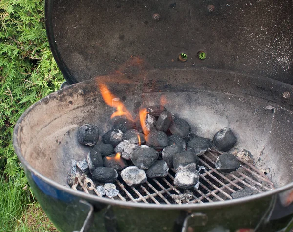 Ignite Some Briquettes Turn Barbecue — Stock Photo, Image