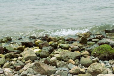 Sahildeki deniz dalgaları