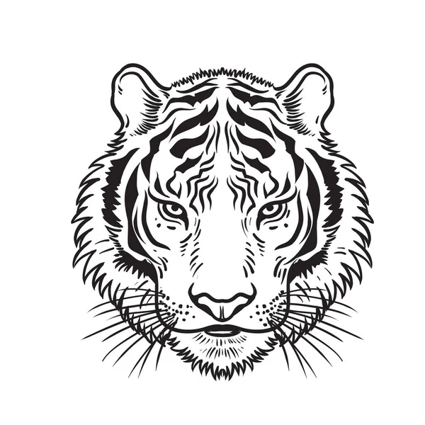 Vector Tiger Head Graphic Illustration — Vettoriale Stock