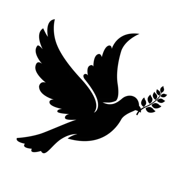 Dove peacemaker silhouette, vector. Dove illustration, symbol of peace. Flying dove holding branch isolated on white. Flying bird silhouette.