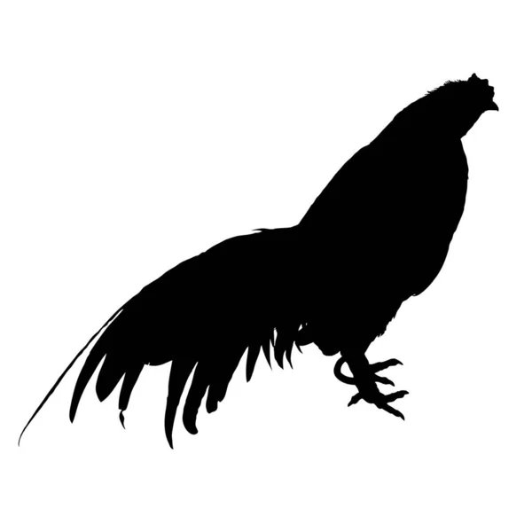 Illustration Vectorielle Silhouette Noire Forme Coq Poulet Mâle Isolé Sur — Image vectorielle