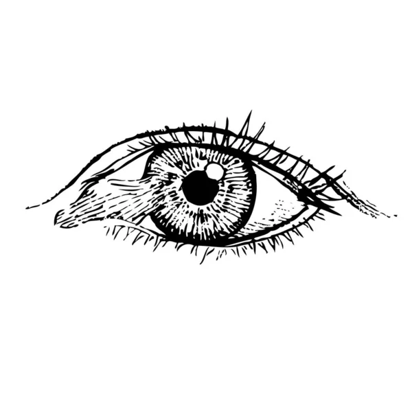 Pterygium Grows Cornea Eye Disease Hand Draw Vector Illustration Eps10 — ストックベクタ