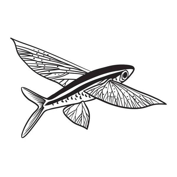 Vektorillustration Eines Fliegenden Fisches — Stockvektor