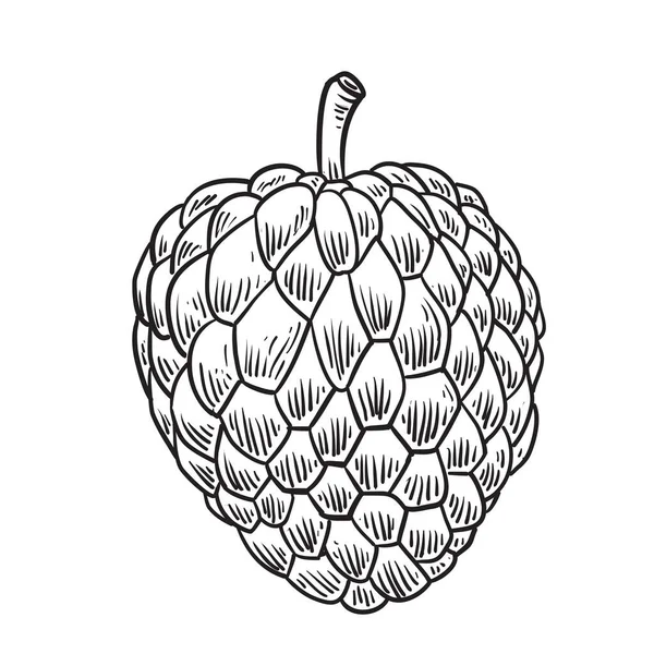 Rysunek Ręka Krem Jabłko Odizolowany Białym Tle Ilustracja Wektor — Wektor stockowy