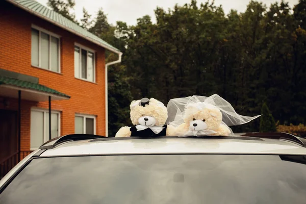 Ένα Ζευγάρι Αρκουδάκια Ντυμένα Σαν Νύφη Και Γαμπρός Κάθονται Στην — Φωτογραφία Αρχείου