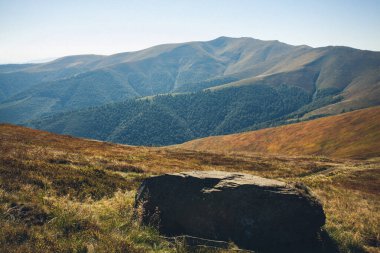 Gün boyunca güzel dağ manzarası. Karpatlar, Ukrayna.