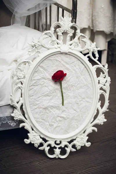 Composición Original Una Rosa Roja Sobre Fondo Papel Blanco Marco — Foto de Stock