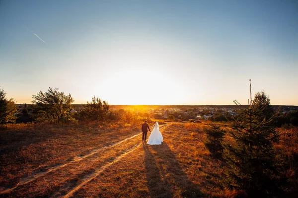 花嫁と新郎は 日没の間に 牧草地のパスに沿って歩く手を保持します 暖かく冷たい色の写真 — ストック写真