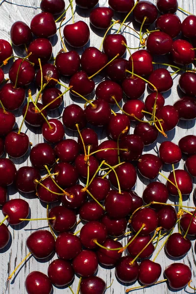 Una Gran Cantidad Cerezas Rojas Maduras Las Ramas Encuentran Una — Foto de Stock