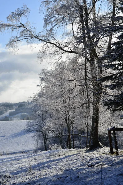 Όμορφο Χειμερινό Τοπίο Χιόνι Και Δέντρα — Φωτογραφία Αρχείου