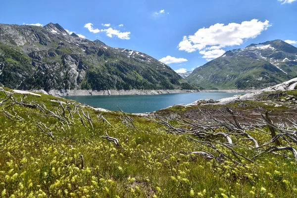 オーストリアのダムであるKoelnbreinspicherは 前景に美しい牧草地を持つ貯水池として — ストック写真