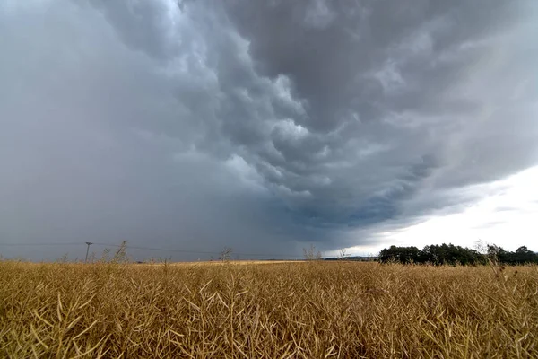 beautiful thunderstorm with its clouds over the field in Germany