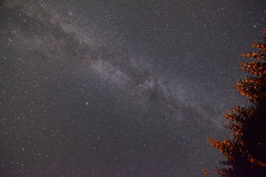 Yazın Samanyolu açık bir gökyüzünde pek çok yıldızla