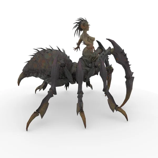 Spiderqueen, Arachnid, Octopod, Spider, Fisherman, Cheat, Hunter, Fowler, Arachnida