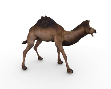 hayvan, arka plan, deve, çizgi film, klipsleme sanatı, clipart, çöl, tasarım elementi, kum tepeleri, Mısır, element, kadın, ısı, ufuk, hörgüç, kamburu, önsezi, illüstrasyon, manzara, memeli, vaha, palmiye ağacı, piramitler, sahara, 