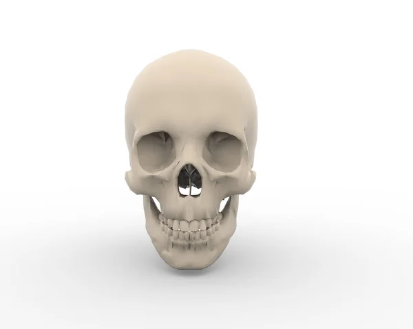 Anatomy Art Background Black Bone Danger Dead Death Design Evil — Stock Photo, Image