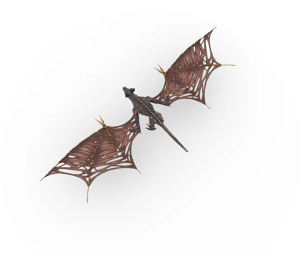Autumn Banner Bat Boo Card Chase Decoration Evil Frighten Frightened — Stock Photo, Image