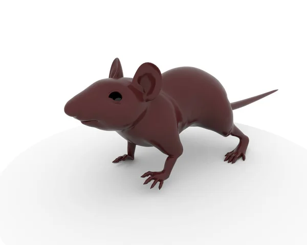 Mouse Rat — Stock Photo, Image