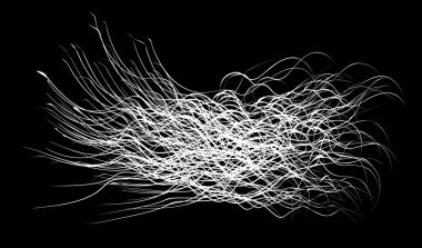 Beyaz arka planda beyaz akış fırça darbeleri beyaz politika demetleri. Soyut dağınık lifler. Vektör illüstrasyon girdabı bulanıklığı. Boya kalemleri ve tebeşir boyası, iplik, saç ve demet..