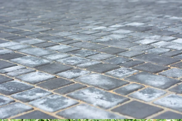 Kaya levhaları. Bahçedeki kaldırım taşı. Sokak fayanslarında efloresans