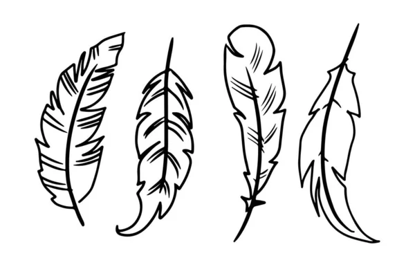 Перо нарисовано вручную. Разные формы перьев. Силуэты перьев. Определите основные черты — стоковый вектор
