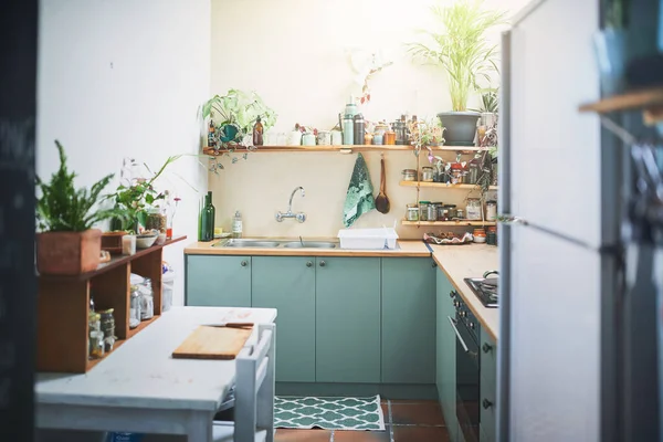 Small Apartment Kitchen with plants — Fotografia de Stock