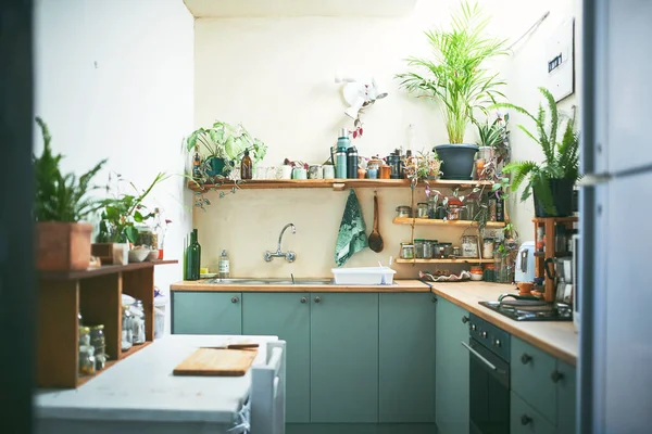 Homey Small Apartment Kitchen in the morning — Stock fotografie