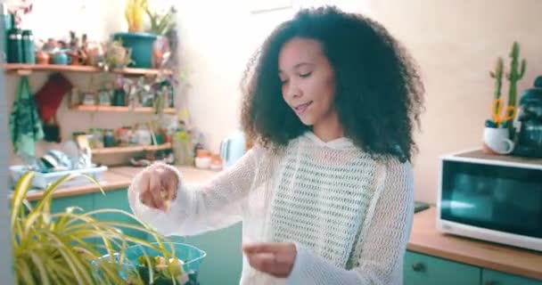 Νεαρή Αφρικανή Φτιάχνει Ένα Smoothie Στην Κουζίνα Της — Αρχείο Βίντεο