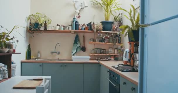 美しいアパートのキッチンの静止画撮影 高品質4K映像 — ストック動画