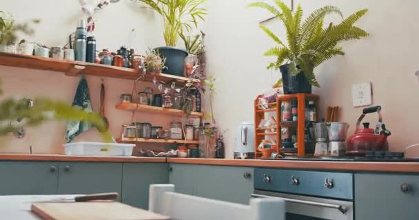 Nature Morte Vidéo Prise Une Belle Cuisine Appartement Images Haute — Video