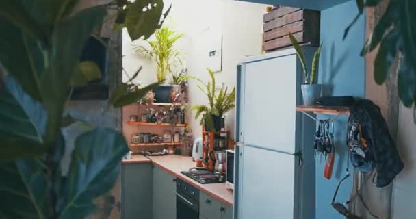 Still Life Video Shot Beautiful Apartment Kitchen — Stock Video