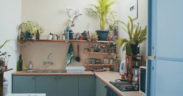 Ainda Vida Vídeo Tiro Uma Bela Cozinha Apartamento Imagens Alta — Vídeo de Stock