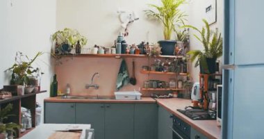 Güzel bir apartman mutfağının canlı videosu. Yüksek kalite 4k görüntü