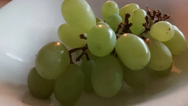 一盘成熟的葡萄 放在盘子里供食用 有机水果 收获后生葡萄 多汁的水果富含维生素和葡萄糖 它是葡萄酒的原料 墨西哥的食物 白人背景 — 图库照片