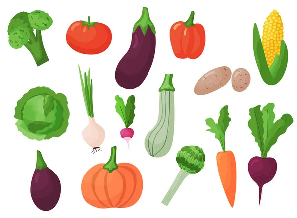 Set of different flat vegetables. Organic healthy food isolated on white background. Vector illustration — Stockvektor