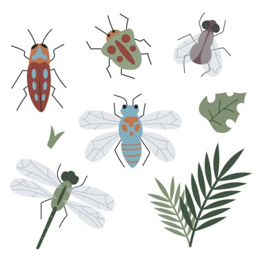 Renkli böcek ve bitki. Bahçe konsepti beyaza izole edilmiş. Çocuk çizim biçimi